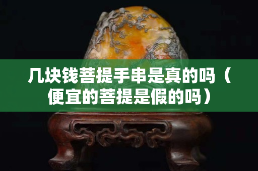 几块钱菩提手串是真的吗（便宜的菩提是假的吗）