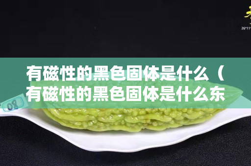 有磁性的黑色固体是什么（有磁性的黑色固体是什么东西）