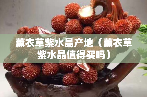薰衣草紫水晶产地（薰衣草紫水晶值得买吗）