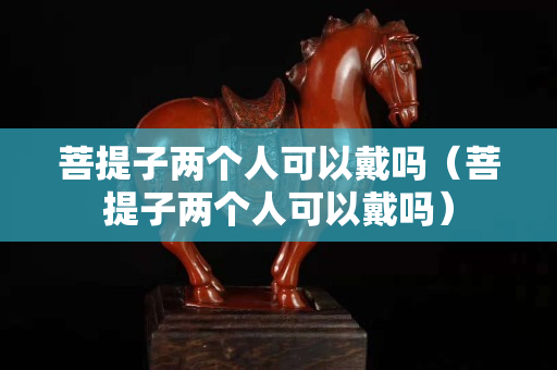 菩提子两个人可以戴吗（菩提子两个人可以戴吗）