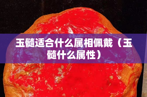 玉髓适合什么属相佩戴（玉髓什么属性）