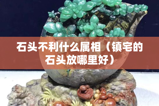 石头不利什么属相（镇宅的石头放哪里好）