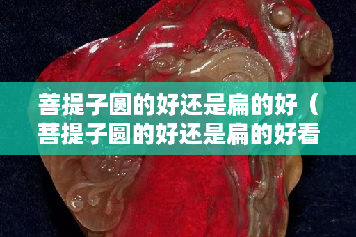 菩提子圆的好还是扁的好（菩提子圆的好还是扁的好看）