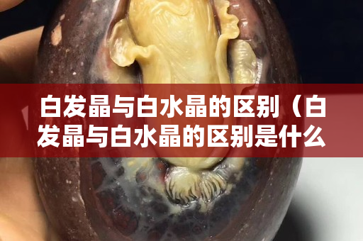 白发晶与白水晶的区别（白发晶与白水晶的区别是什么）