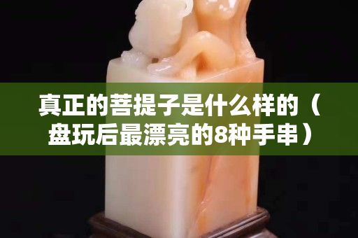 真正的菩提子是什么样的（盘玩后最漂亮的8种手串）