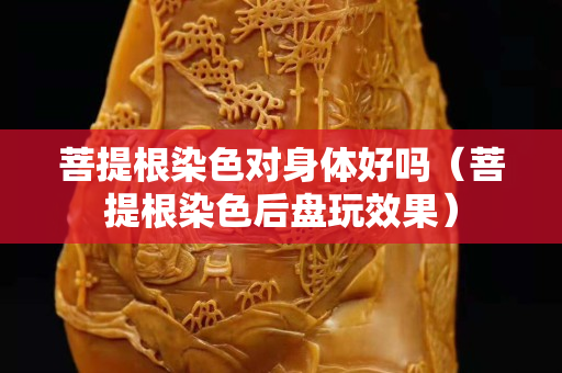 菩提根染色对身体好吗（菩提根染色后盘玩效果）