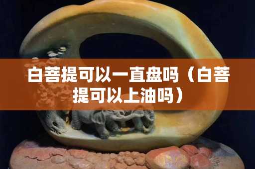 白菩提可以一直盘吗（白菩提可以上油吗）