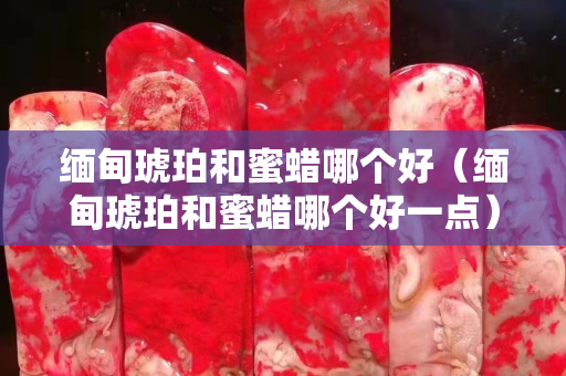缅甸琥珀和蜜蜡哪个好（缅甸琥珀和蜜蜡哪个好一点）