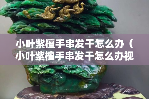 小叶紫檀手串发干怎么办（小叶紫檀手串发干怎么办视频）