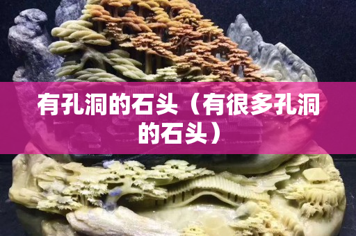 有孔洞的石头（有很多孔洞的石头）