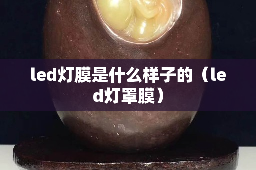 led灯膜是什么样子的（led灯罩膜）