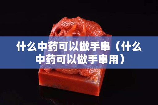 什么中药可以做手串（什么中药可以做手串用）