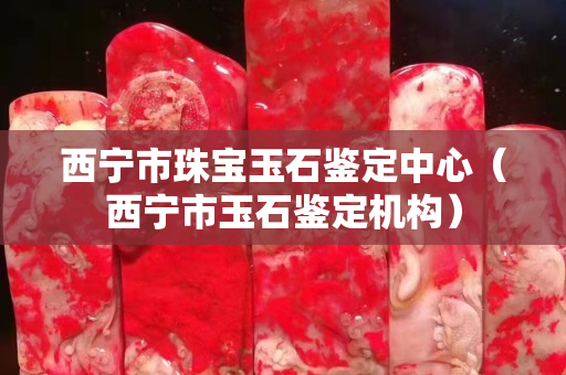 西宁市珠宝玉石鉴定中心（西宁市玉石鉴定机构）