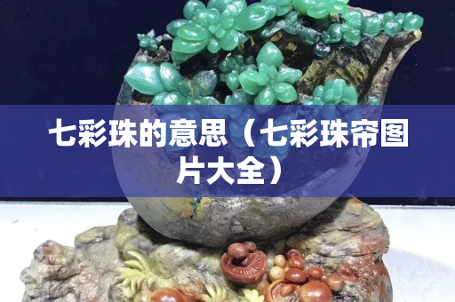 七彩珠的意思（七彩珠帘图片大全）