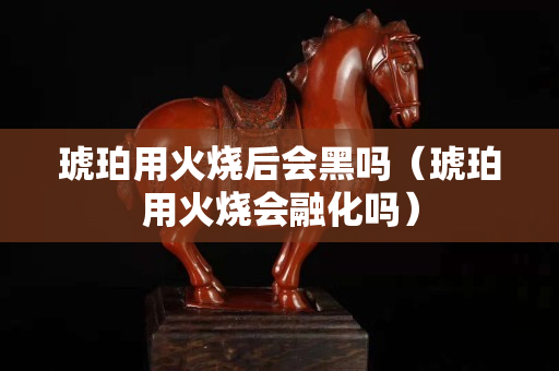 琥珀用火烧后会黑吗（琥珀用火烧会融化吗）