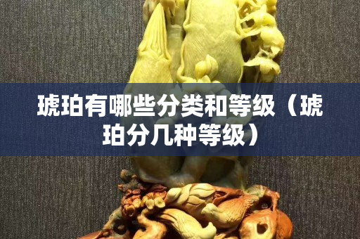 琥珀有哪些分类和等级（琥珀分几种等级）