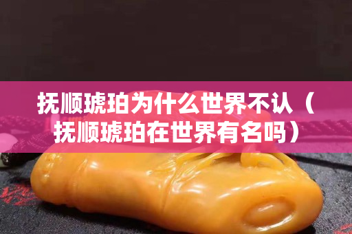 抚顺琥珀为什么世界不认（抚顺琥珀在世界有名吗）