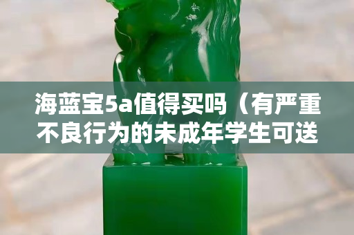 海蓝宝5a值得买吗（有严重不良行为的未成年学生可送工读学校）