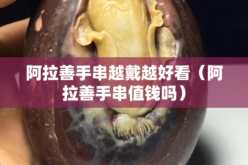 阿拉善手串越戴越好看（阿拉善手串值钱吗）