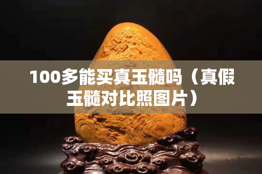 100多能买真玉髓吗（真假玉髓对比照图片）