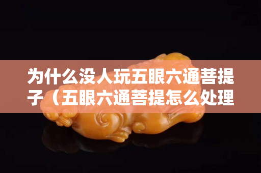 为什么没人玩五眼六通菩提子（五眼六通菩提怎么处理）