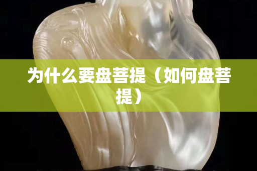 为什么要盘菩提（如何盘菩提）