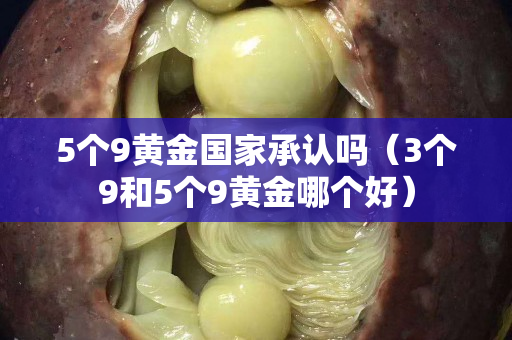 5个9黄金国家承认吗（3个9和5个9黄金哪个好）