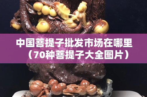 中国菩提子批发市场在哪里（70种菩提子大全图片）