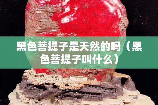 黑色菩提子是天然的吗（黑色菩提子叫什么）