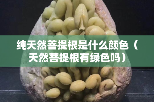 纯天然菩提根是什么颜色（天然菩提根有绿色吗）