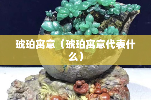 琥珀寓意（琥珀寓意代表什么）