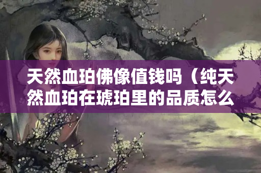 天然血珀佛像值钱吗（纯天然血珀在琥珀里的品质怎么样）