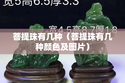 菩提珠有几种（菩提珠有几种颜色及图片）