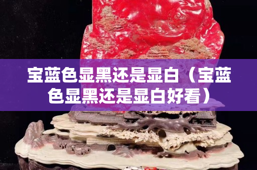 宝蓝色显黑还是显白（宝蓝色显黑还是显白好看）