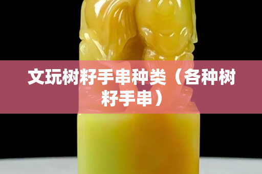 文玩树籽手串种类（各种树籽手串）