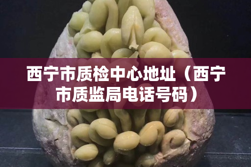 西宁市质检中心地址（西宁市质监局电话号码）