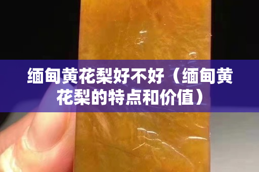 缅甸黄花梨好不好（缅甸黄花梨的特点和价值）