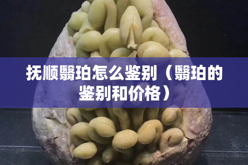 抚顺翳珀怎么鉴别（翳珀的鉴别和价格）