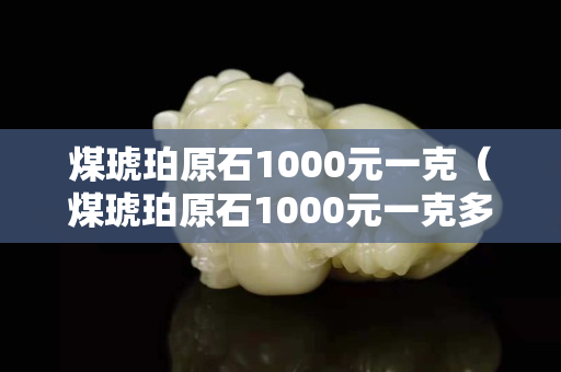 煤琥珀原石1000元一克（煤琥珀原石1000元一克多少钱）