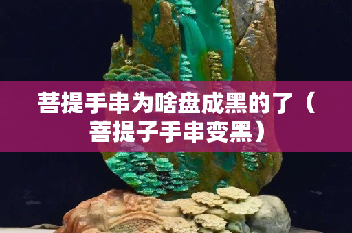 菩提手串为啥盘成黑的了（菩提子手串变黑）