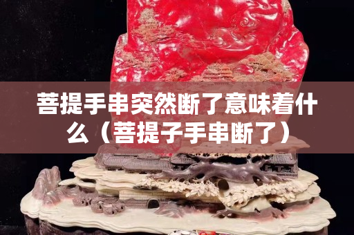 菩提手串突然断了意味着什么（菩提子手串断了）