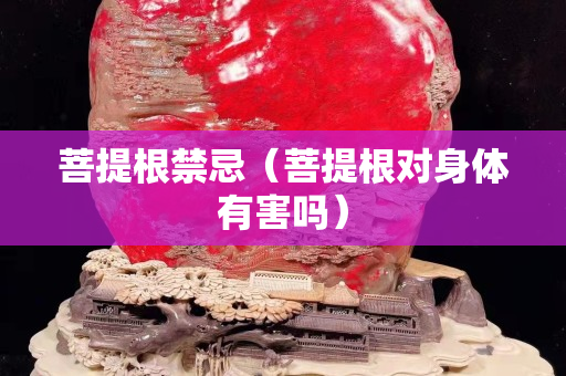 菩提根禁忌（菩提根对身体有害吗）