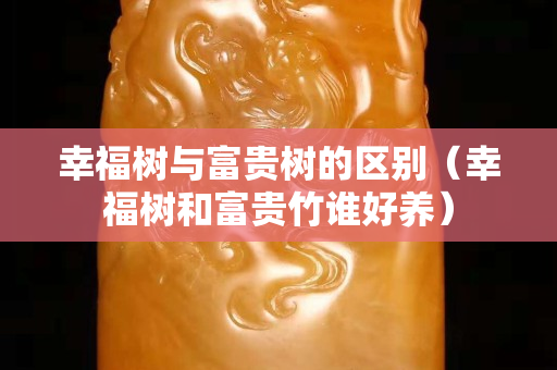 幸福树与富贵树的区别（幸福树和富贵竹谁好养）