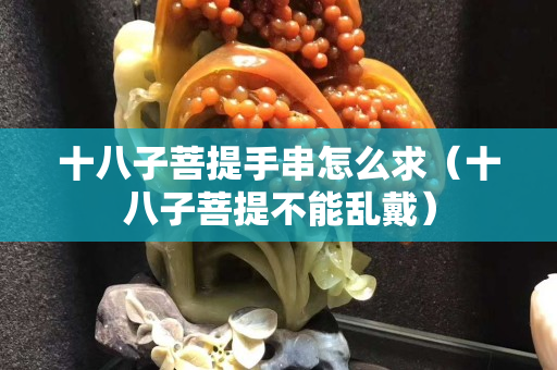 十八子菩提手串怎么求（十八子菩提不能乱戴）