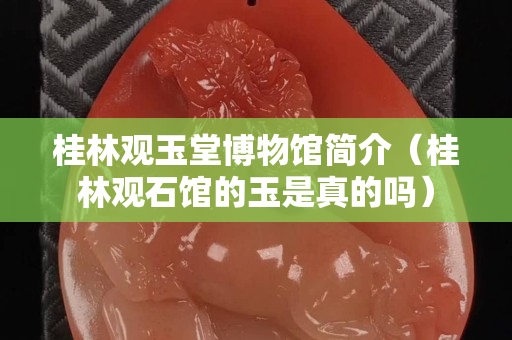 桂林观玉堂博物馆简介（桂林观石馆的玉是真的吗）