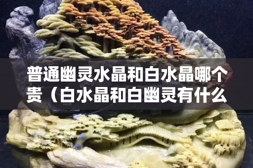 普通幽灵水晶和白水晶哪个贵（白水晶和白幽灵有什么区别）