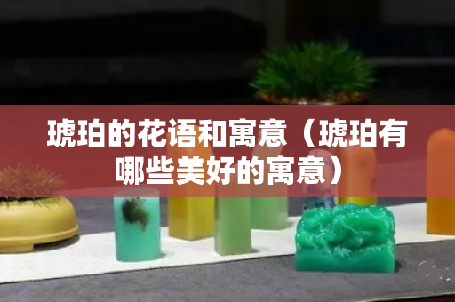 琥珀的花语和寓意（琥珀有哪些美好的寓意）