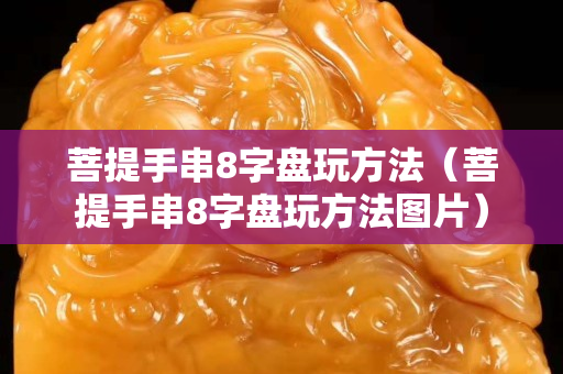 菩提手串8字盘玩方法（菩提手串8字盘玩方法图片）
