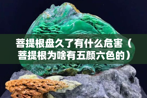 菩提根盘久了有什么危害（菩提根为啥有五颜六色的）