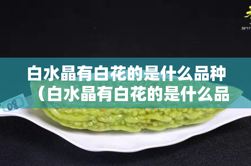 白水晶有白花的是什么品种（白水晶有白花的是什么品种图片）
